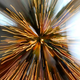 Illustration for article titled Zoom Photo Challenge Gallery 1